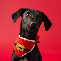 Dog / Cat Santa Christmas Bandana | Pet Decor |