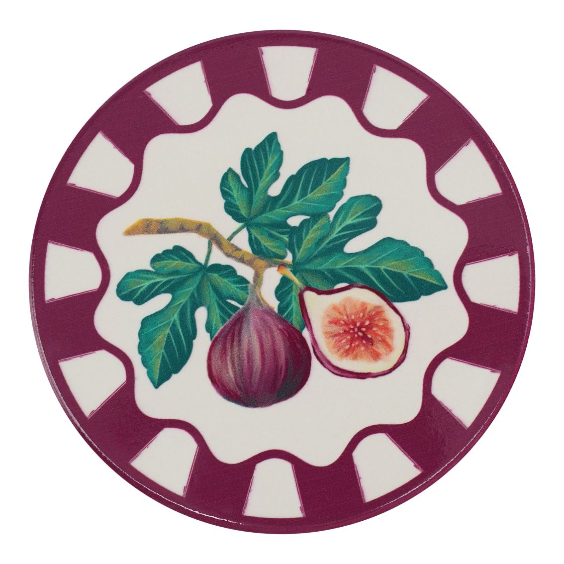 Autumnal Fruit Coasters - 20 Pack Display | Autumn Decor |