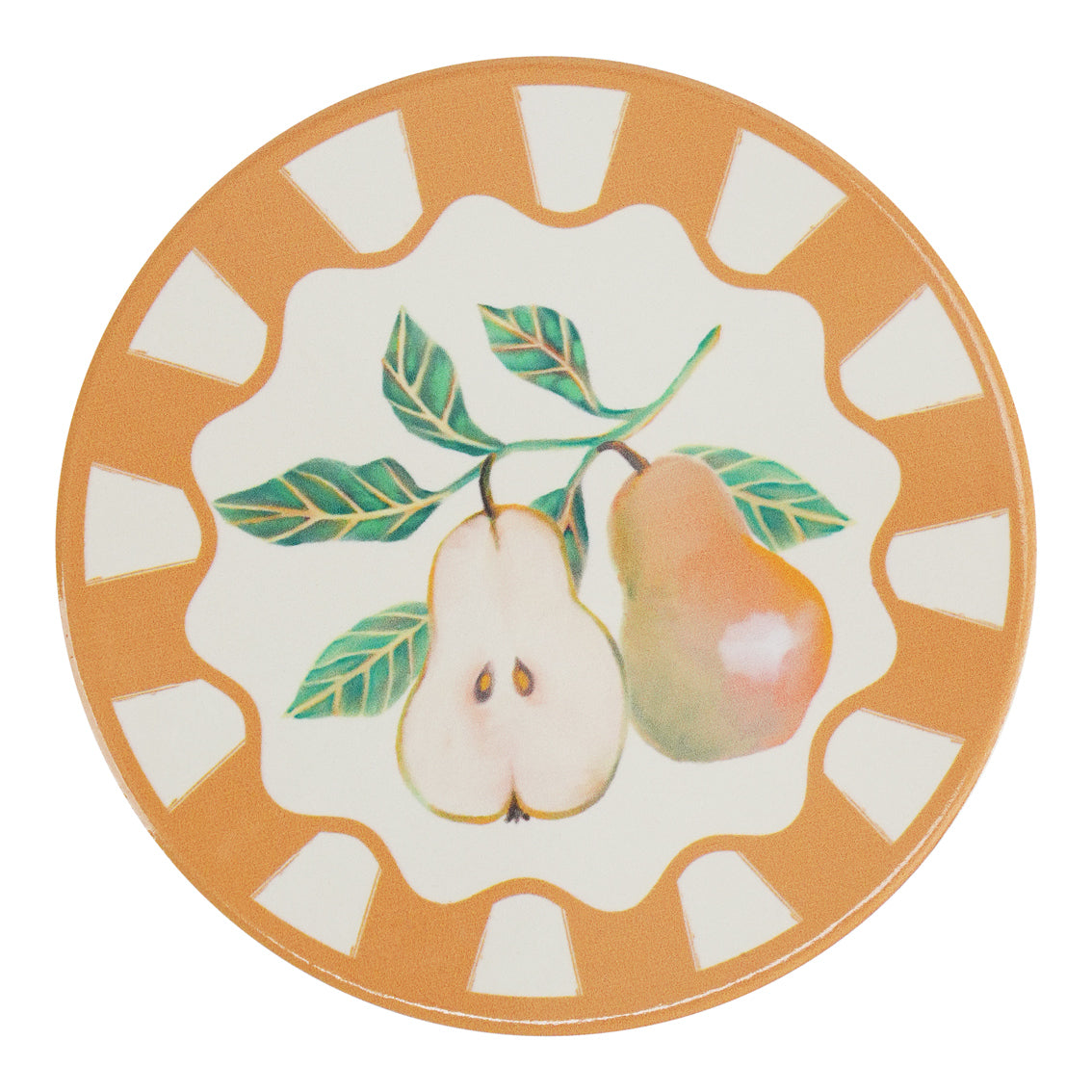 Autumnal Fruit Coasters - 20 Pack Display | Autumn Decor |