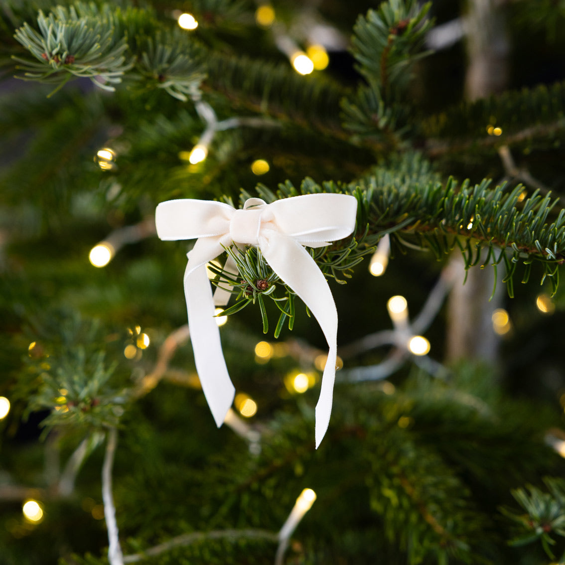 Gold & Cream Velvet Bows - 8 Pack | Christmas Decor |