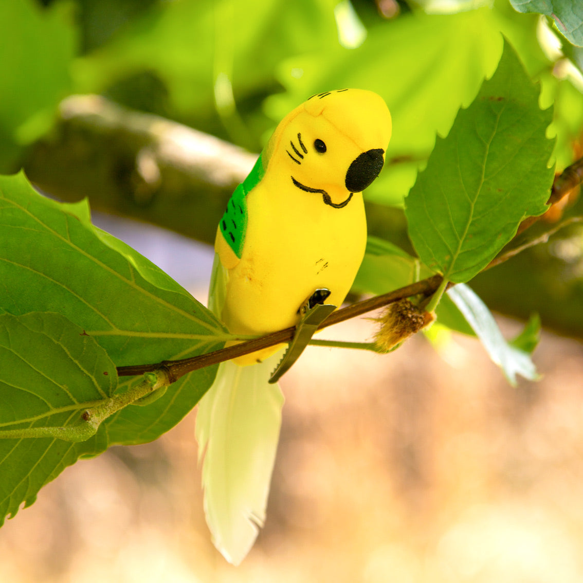 Carnival Fiesta Tropical Birds | Summer Party Decor |